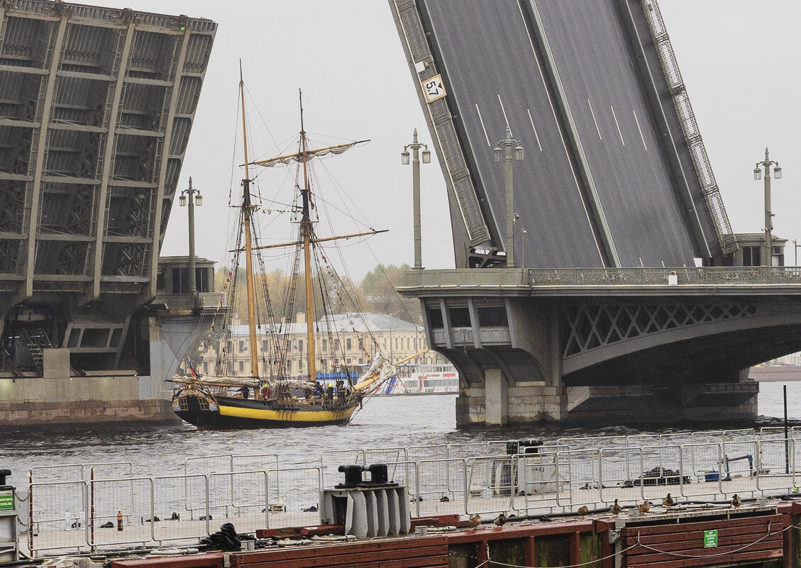 *** - Александр Русинов