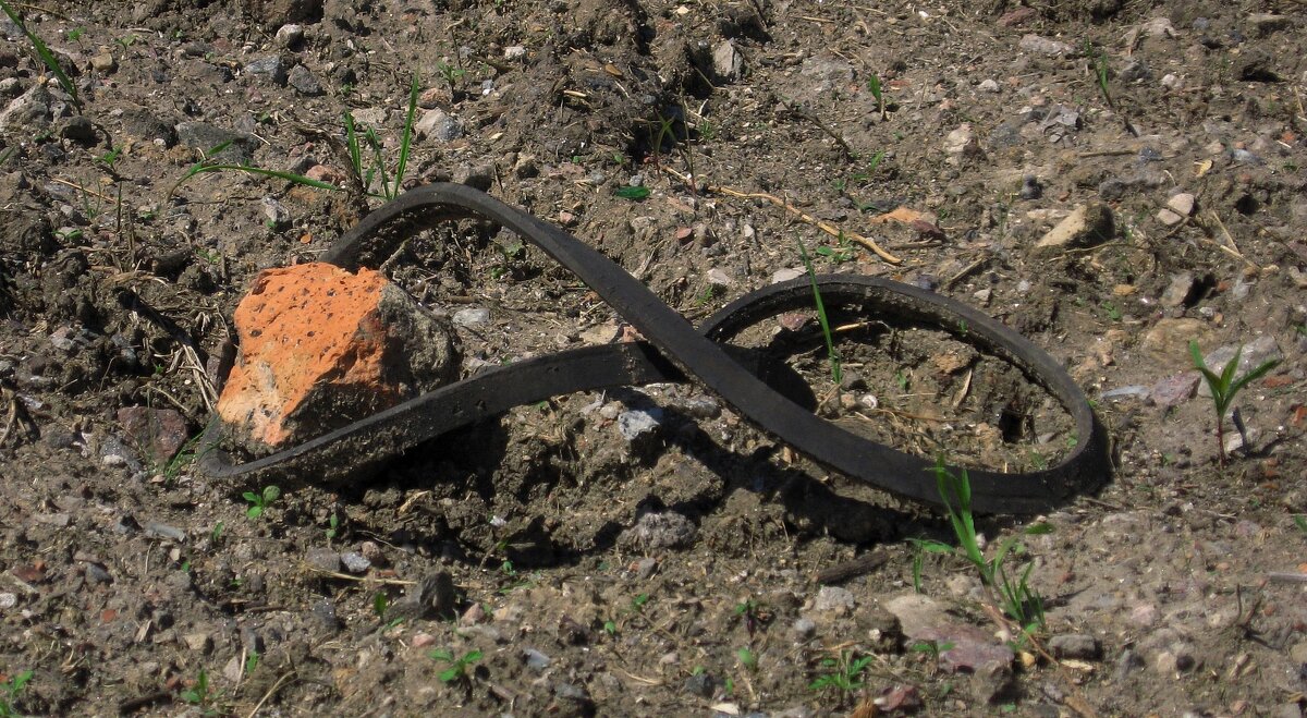 . - Александр Хоменко