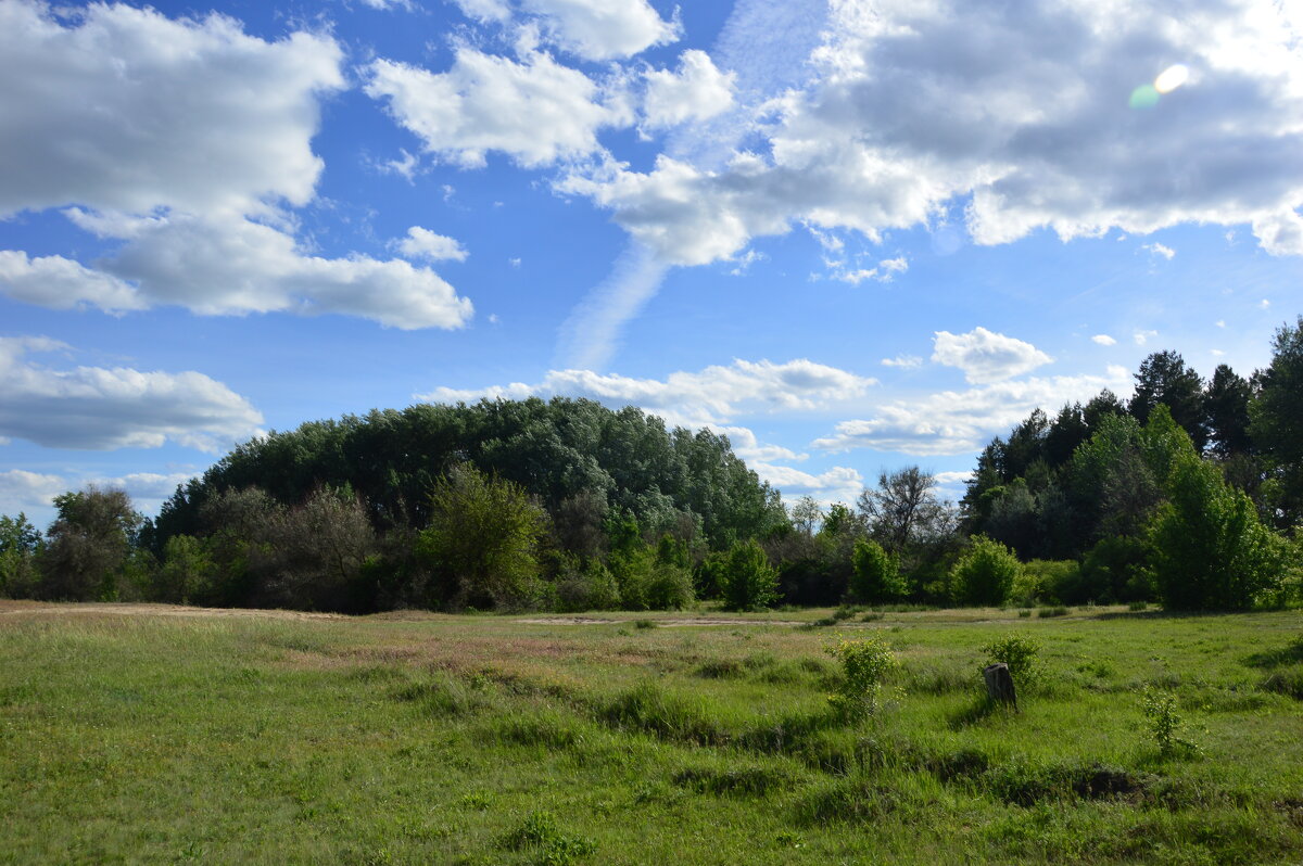 Донские виды. - Виктор 