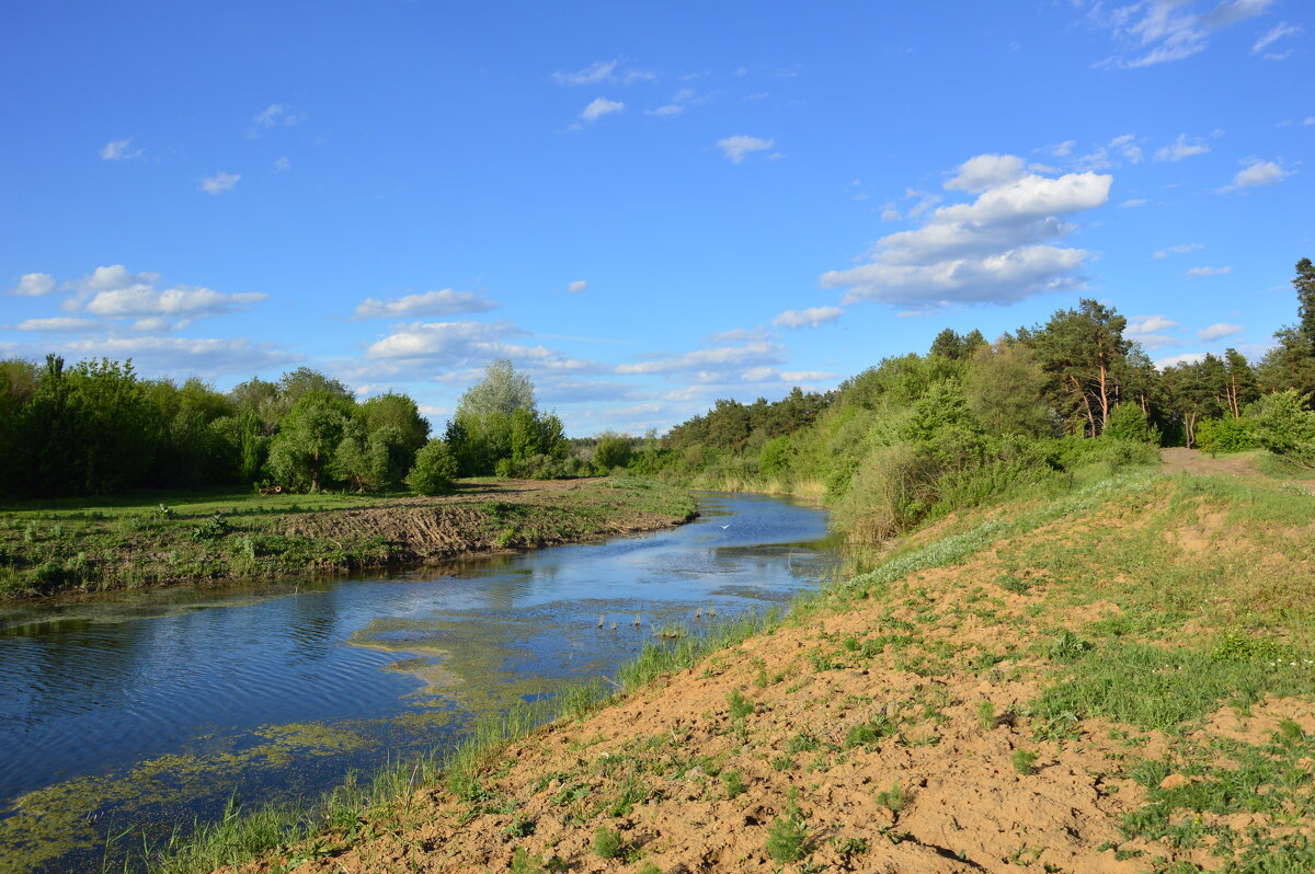 Местная река. - Виктор 