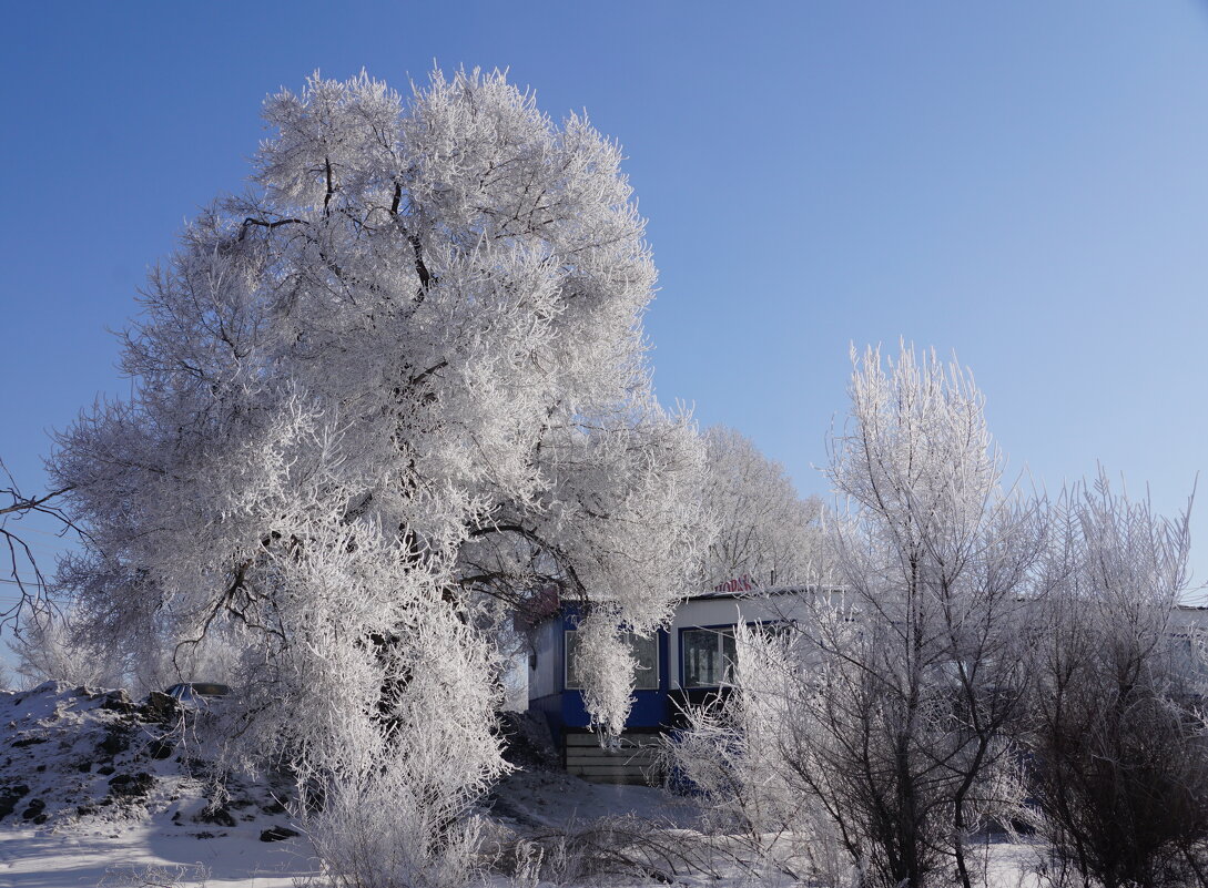 Спрятался - Наталия Григорьева Спрятался - Наталия Григорьева