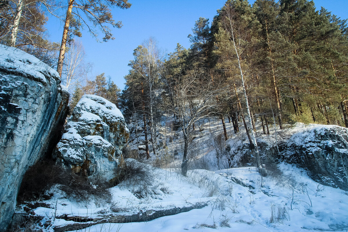 *** - Евгения Каравашкина *** - Евгения Каравашкина