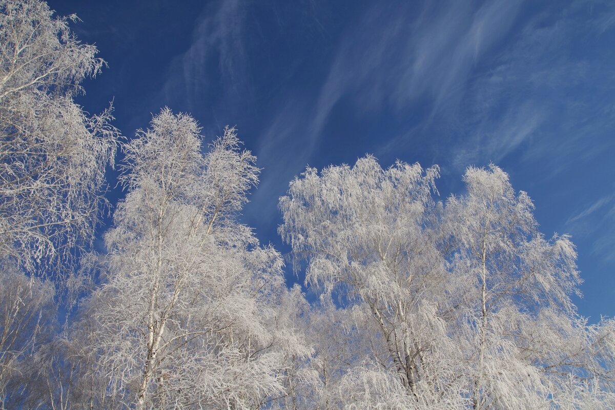 Зимний день - Сергей Швечков