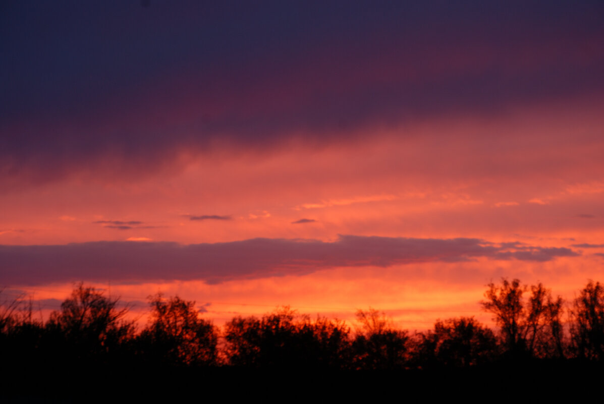 Закат. - Алексей 