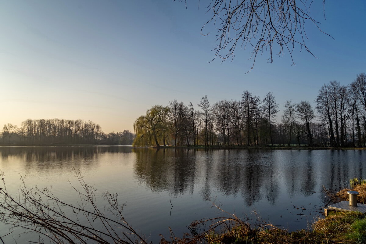 В начале марта... - Николай Гирш