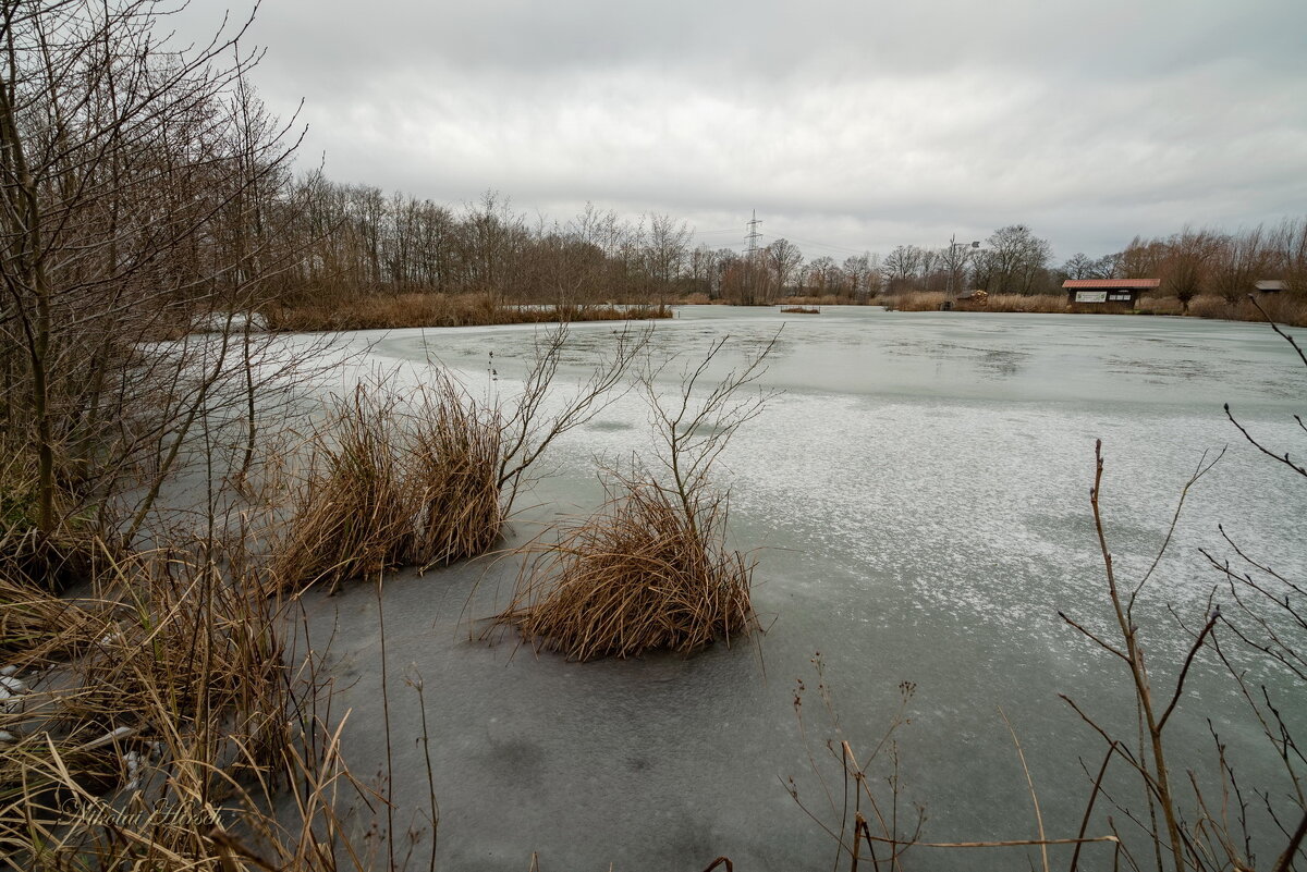 Островки да кочки... - Николай Гирш Островки да кочки... - Николай Гирш