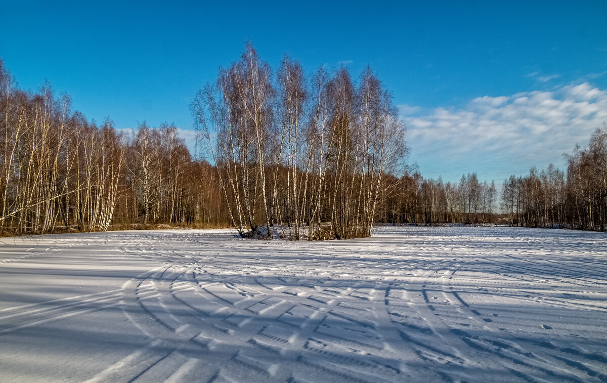Подмосковная зима.5 - Андрей Дворников