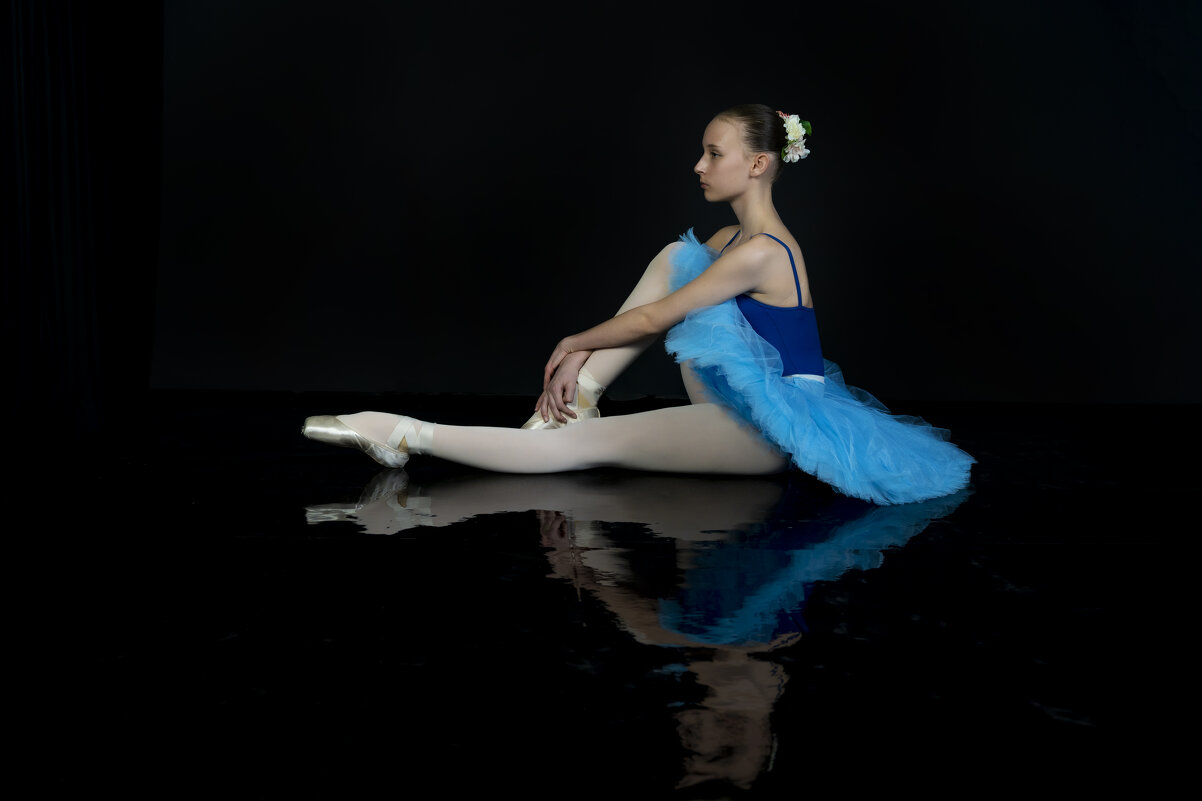 Балет балет балет... - Андрей + Ирина Степановы Балет балет балет... - Андрей + Ирина Степановы