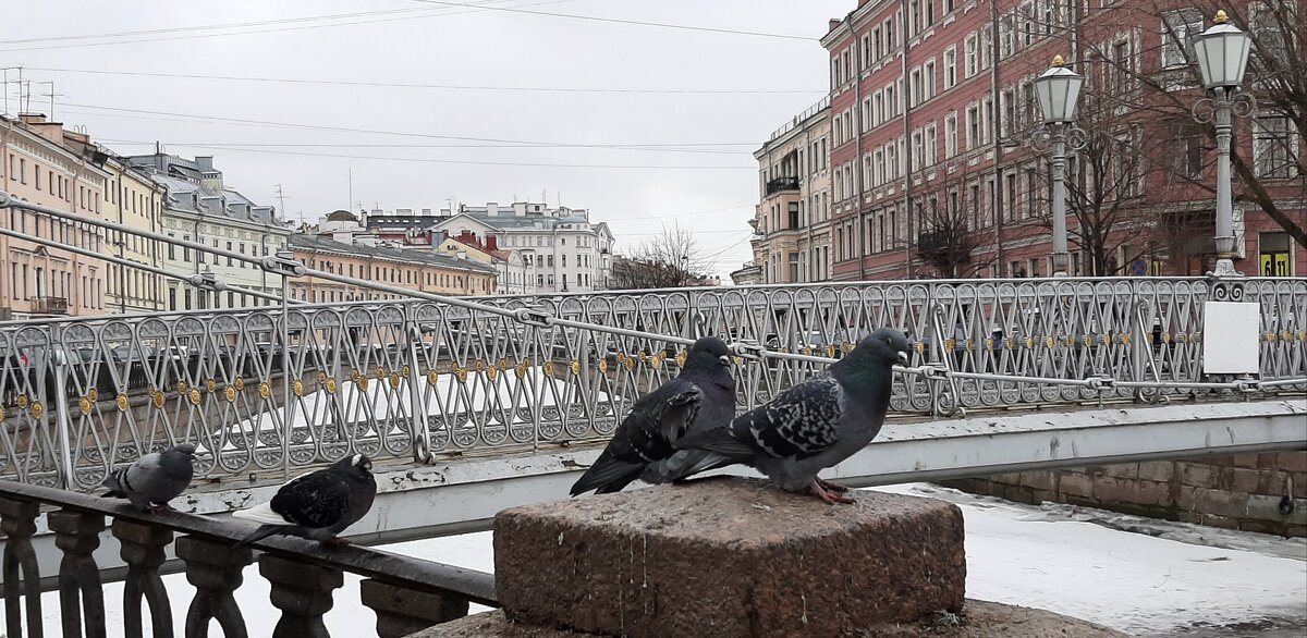 У Львиного моста - Наталья Герасимова