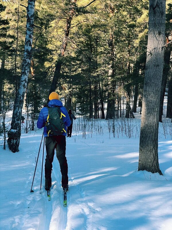 На лыжах,хорошо... - Георгиевич 