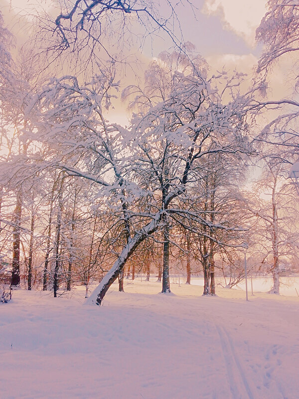Зимний парк - Сергей Кочнев