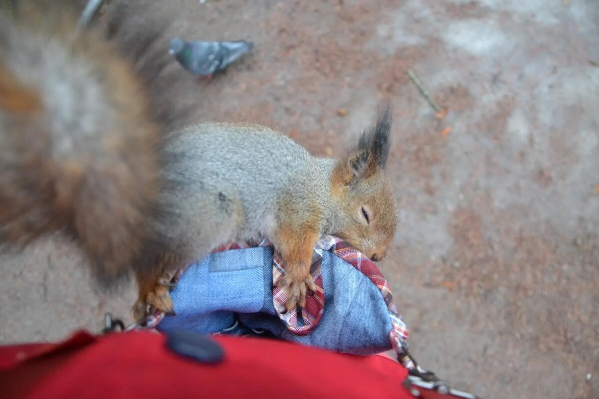 Неужели это всё моё? - Надежда 