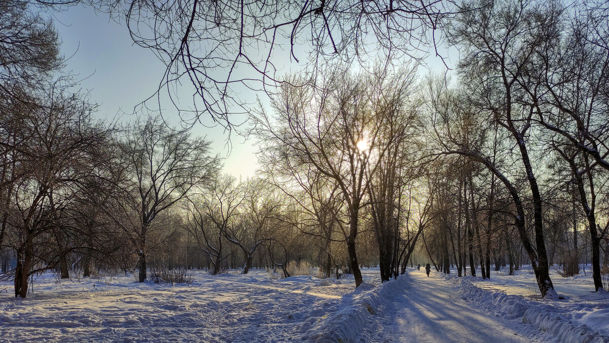 Зимний парк - Dmitry i Mary S Зимний парк - Dmitry i Mary S