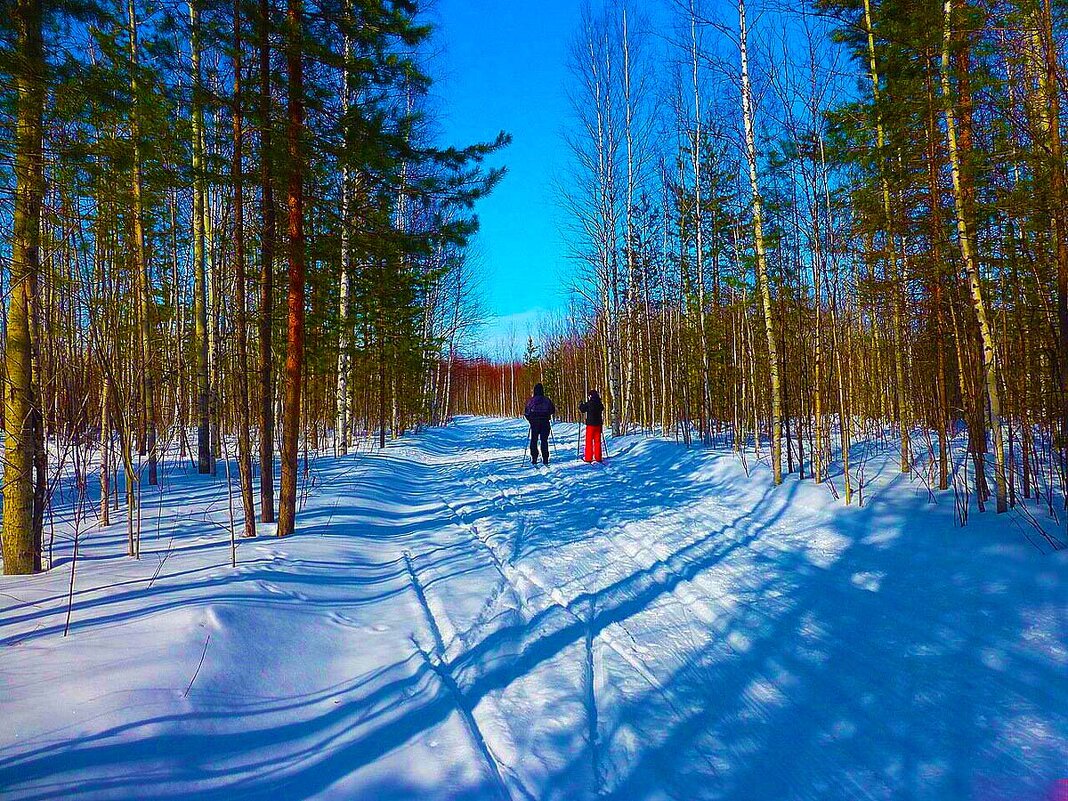 Февраль...Двое влюбленных на лыжне! - Владимир 