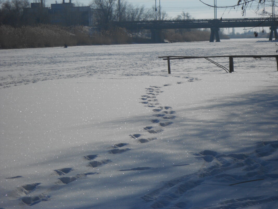 на реке - Елена Шаламова