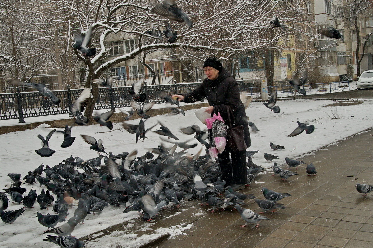 Летите голуби летите... - Николай Саржанов