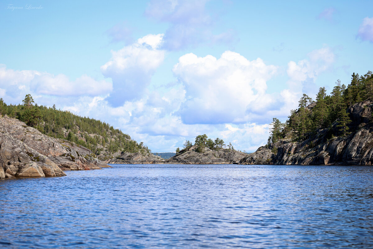 . . . - Татьяна Линенко