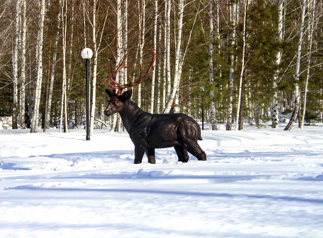 ** - Vlad Сергиевич ** - Vlad Сергиевич