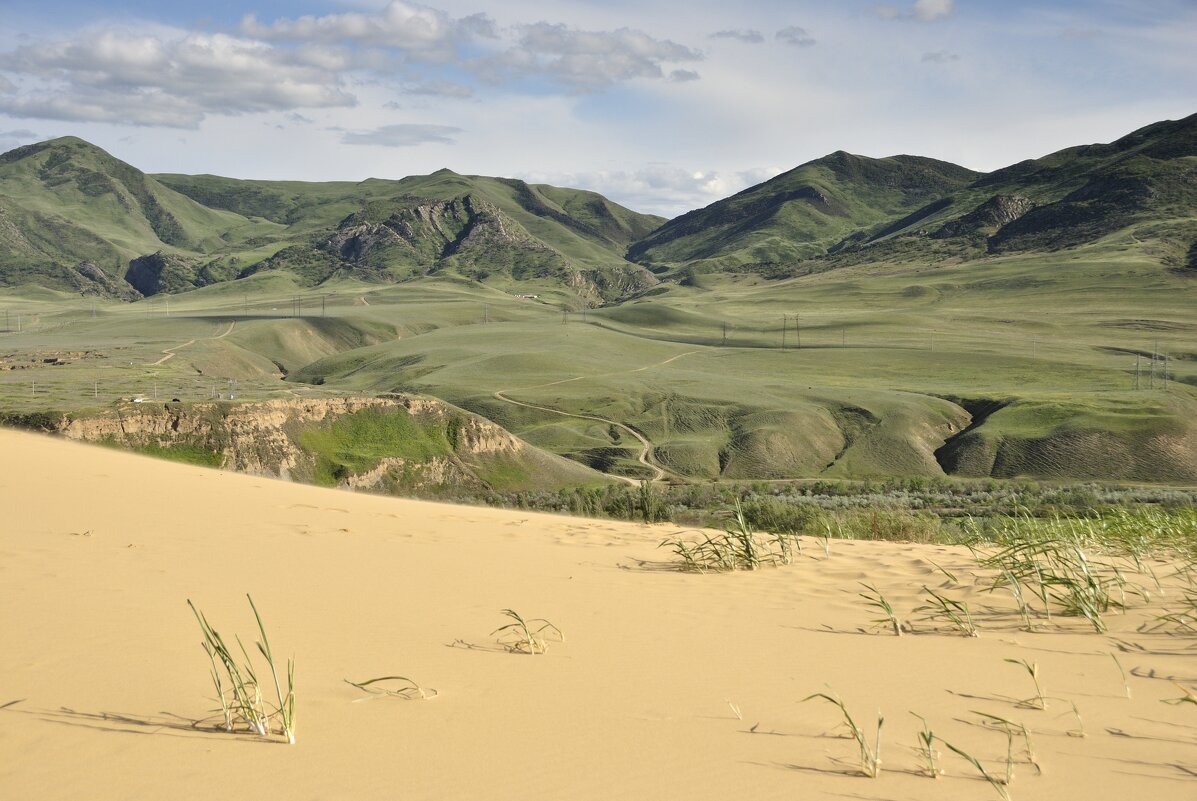 Зеленый бархат - Марина Виноградова Зеленый бархат - Марина Виноградова