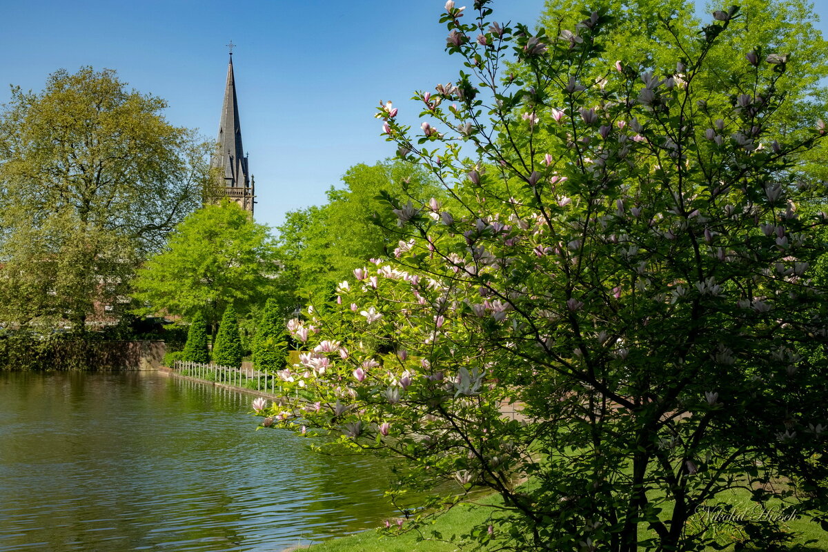 В парке... - Николай Гирш В парке... - Николай Гирш