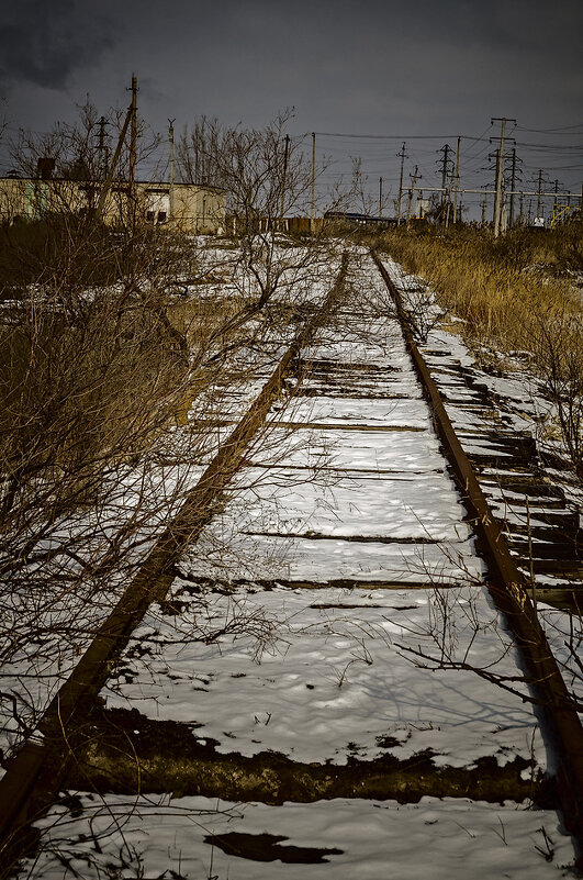 Узкоколейка в "зону" - Петр Фролов Узкоколейка в "зону" - Петр Фролов