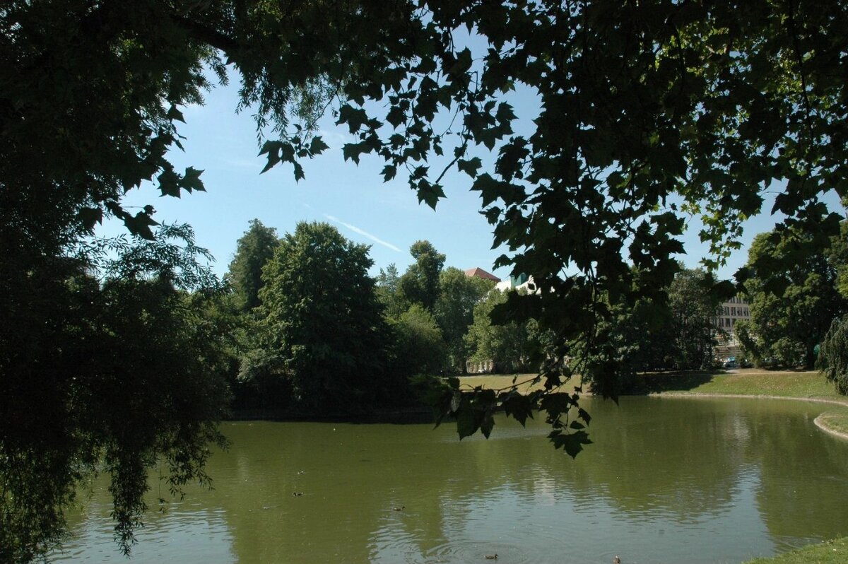 В тени у пруда - Alexandra Sakharova