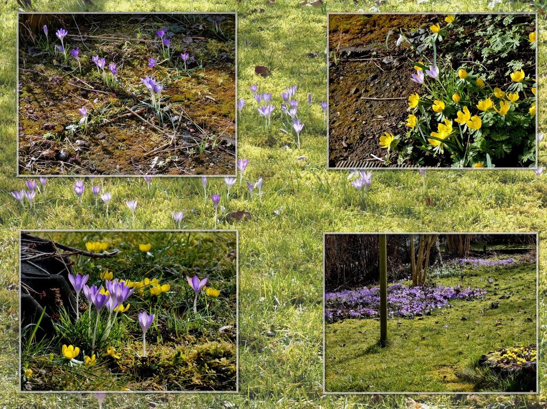 весенние коллажи - Heinz Thorns