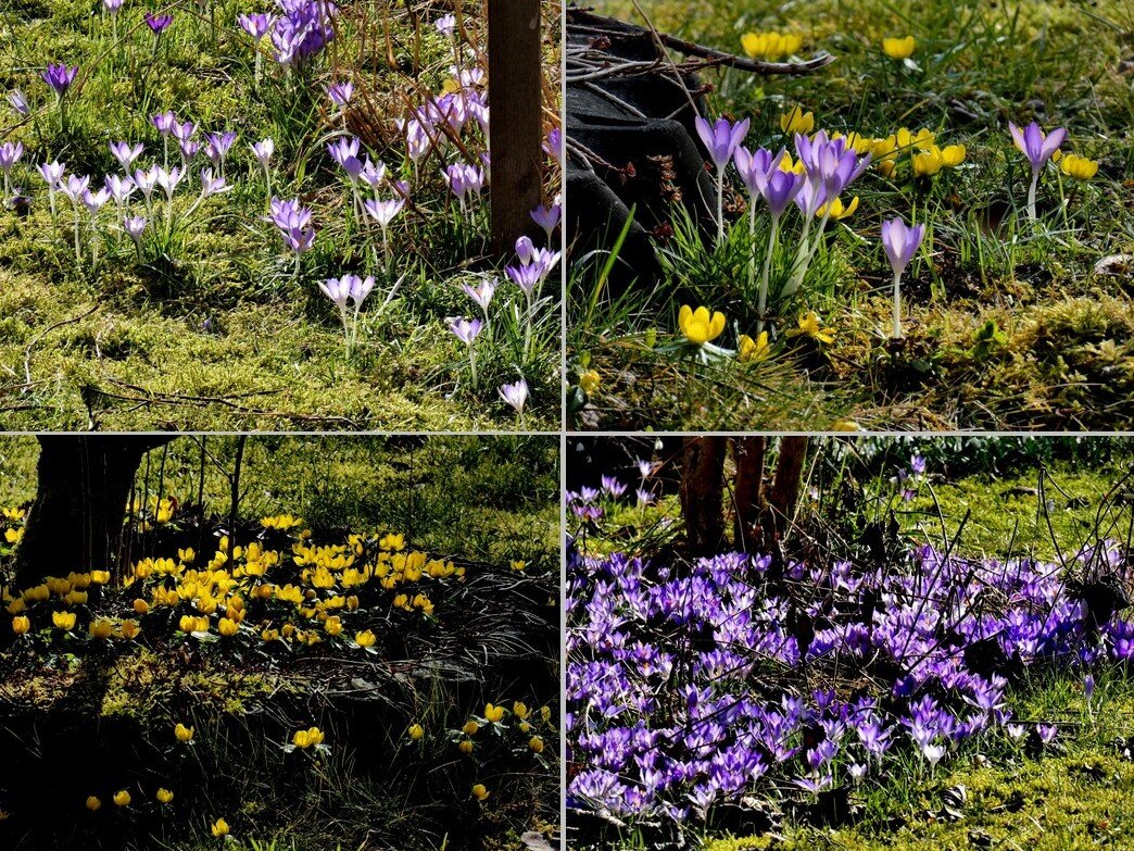 весенние коллажи - Heinz Thorns