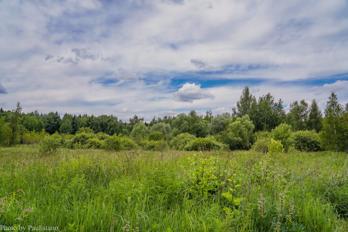 Под небом июня... - Владимир Жданов Под небом июня... - Владимир Жданов