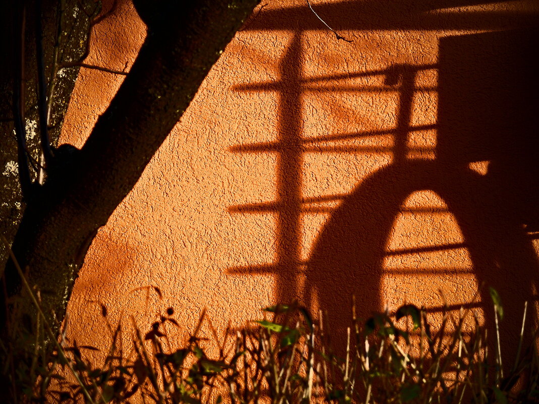 Фаинген 88 - Алексей Кузнецов