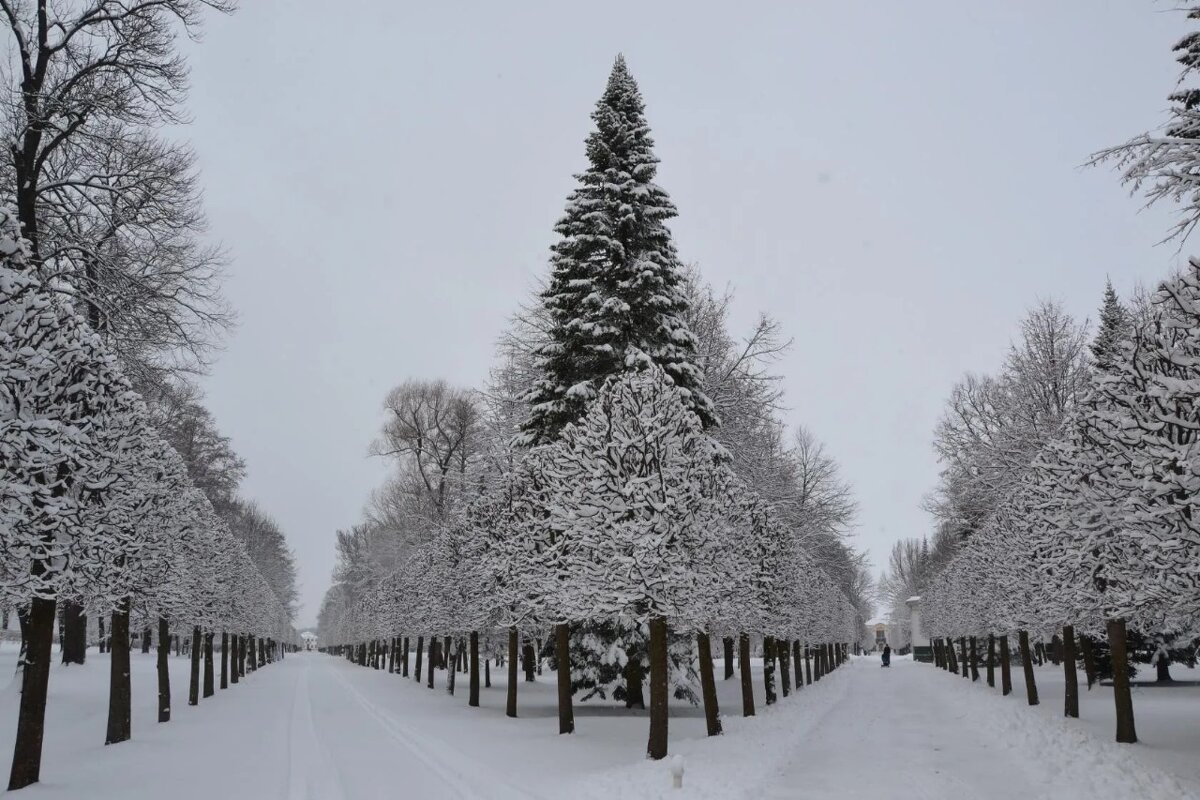 Вот такая геометрия. - Надежда 