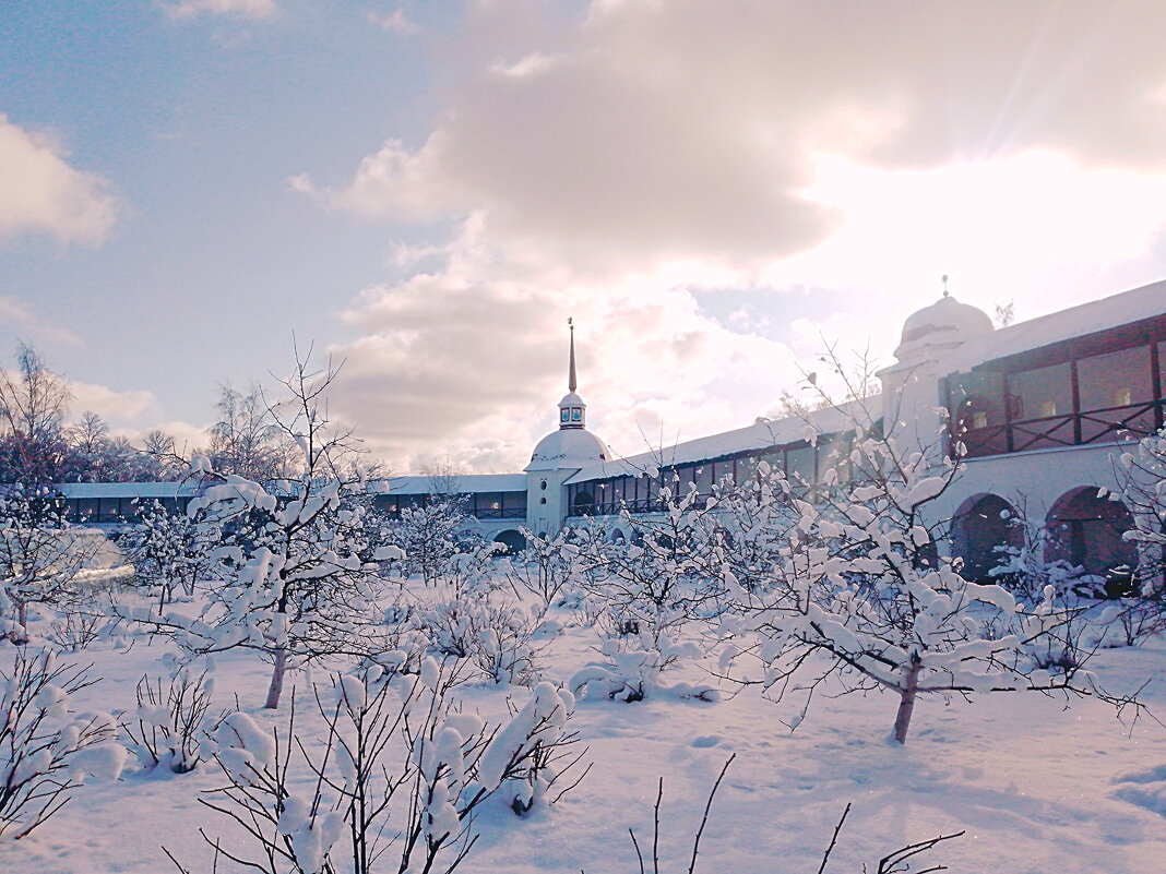 Зимний сад - Сергей Кочнев