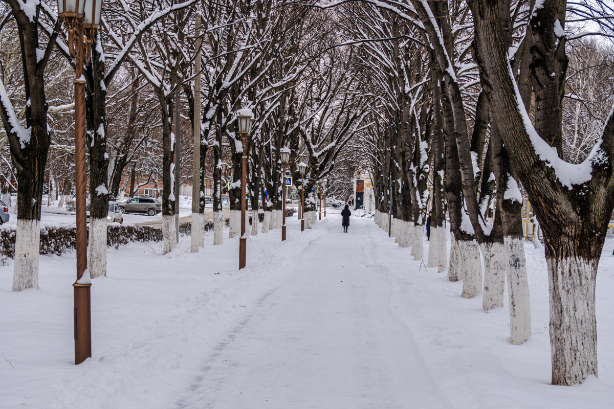 Давно у нас такой зимы не было - Игорь Сикорский Давно у нас такой зимы не было - Игорь Сикорский