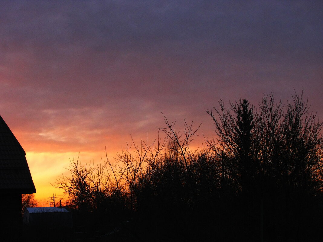 Яркое утро - Людмила Смородинская Яркое утро - Людмила Смородинская