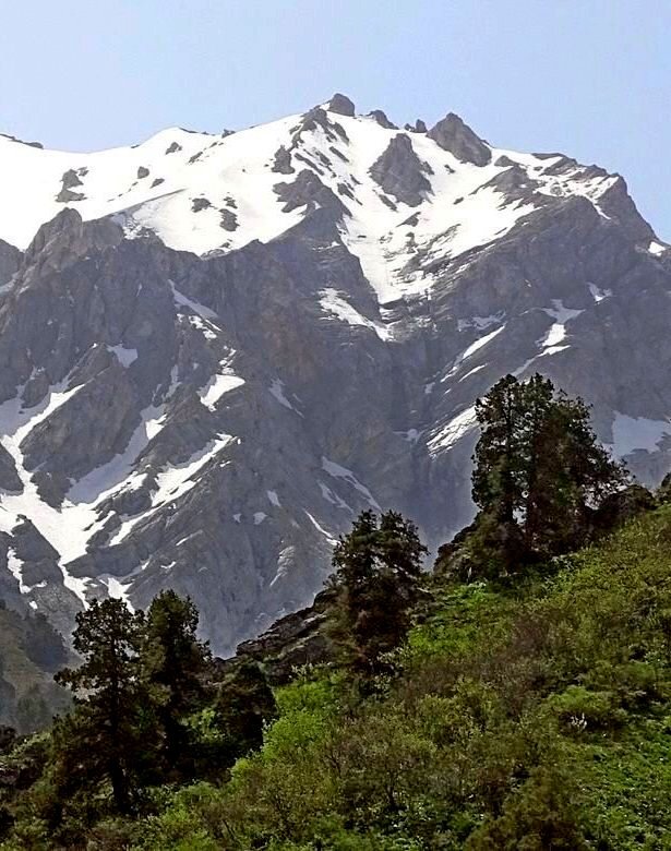 ГОРНАЯ ПРОГУЛКА. - Виктор Осипчук ГОРНАЯ ПРОГУЛКА. - Виктор Осипчук