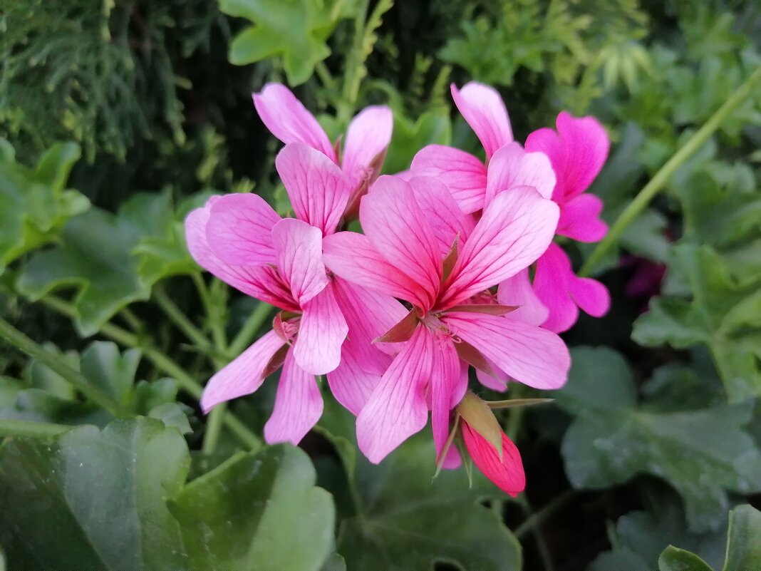 ,,, - Сергей Тимоновский ,,, - Сергей Тимоновский