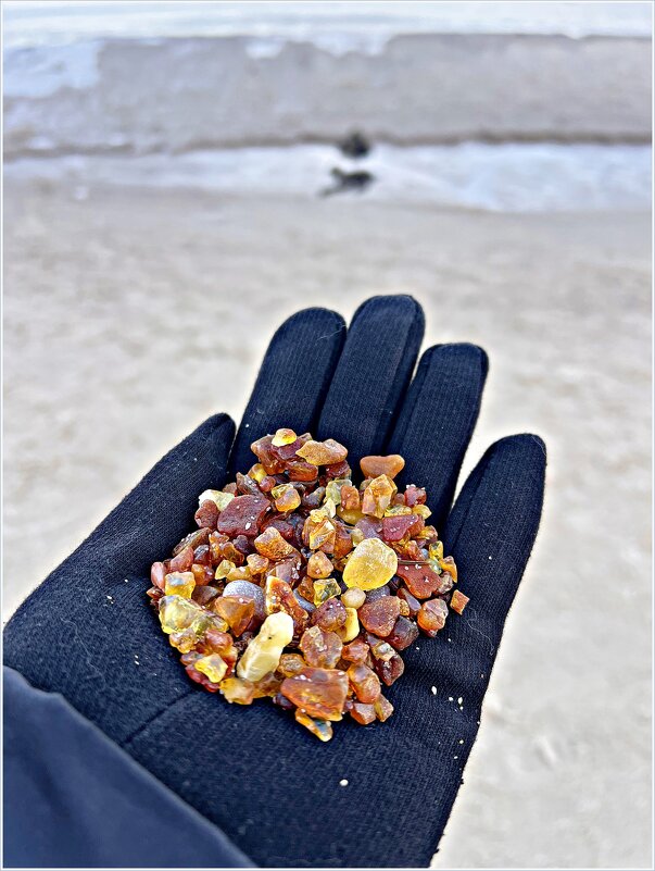 Янтарики. - Валерия Комова Янтарики. - Валерия Комова