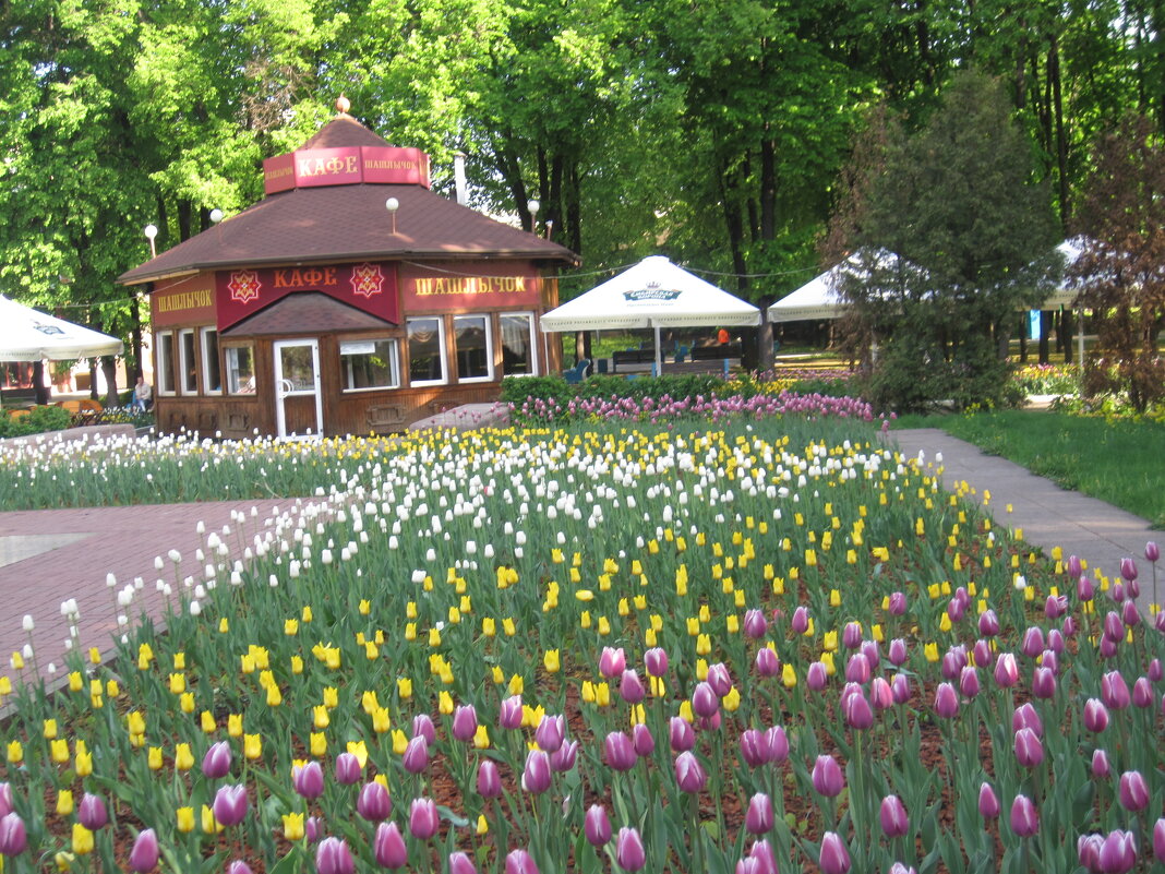 Интерьер в парке - Елена Семигина Интерьер в парке - Елена Семигина