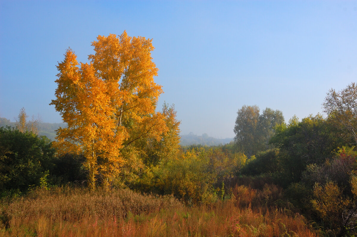 Простая осень - Сергей Медведев
