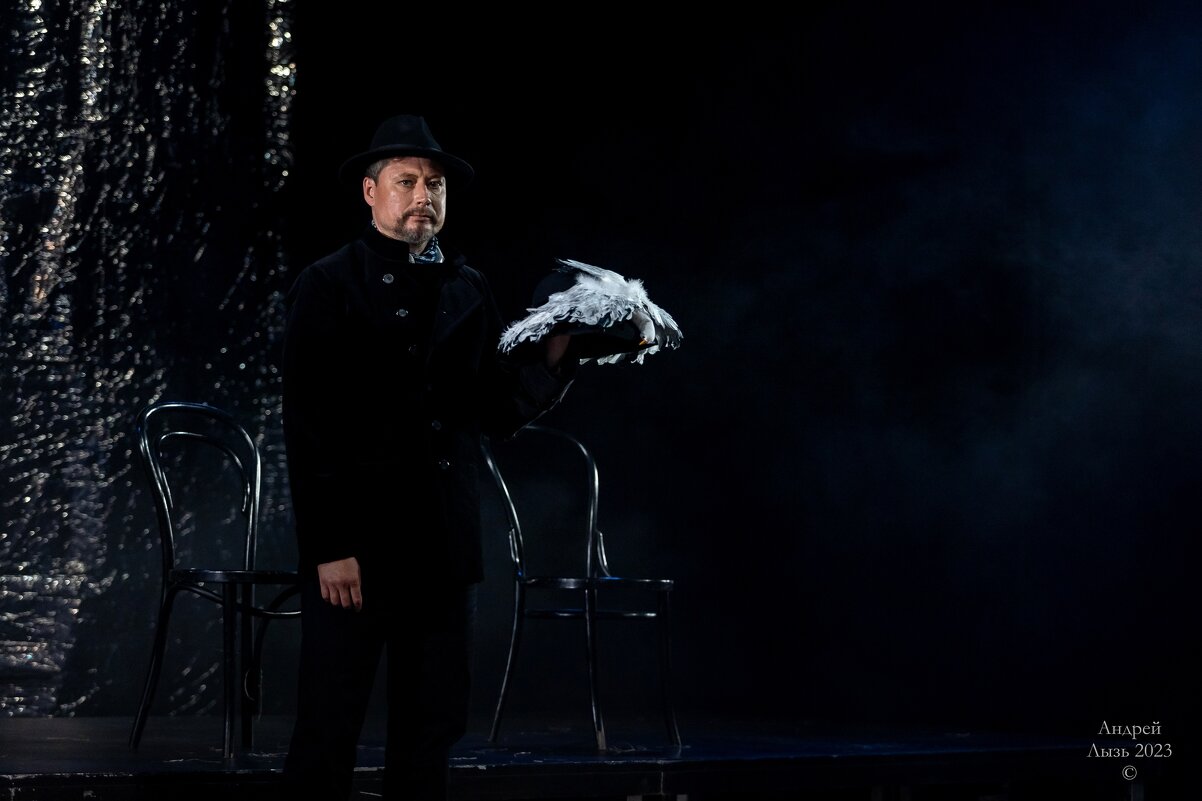 «Чайка» Московский театр «Школа драматического искусства» - Андрей Lyz