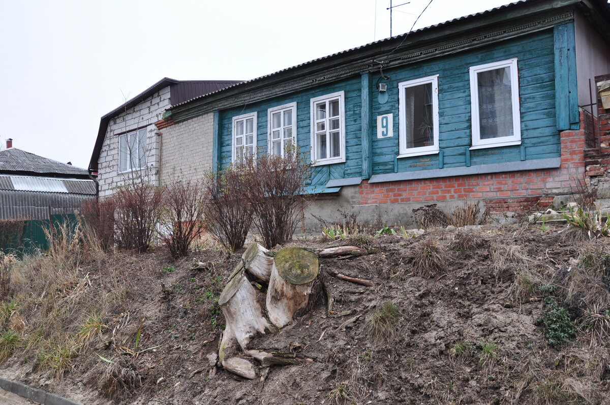 Улица Дурова - Татьяна Машошина Улица Дурова - Татьяна Машошина