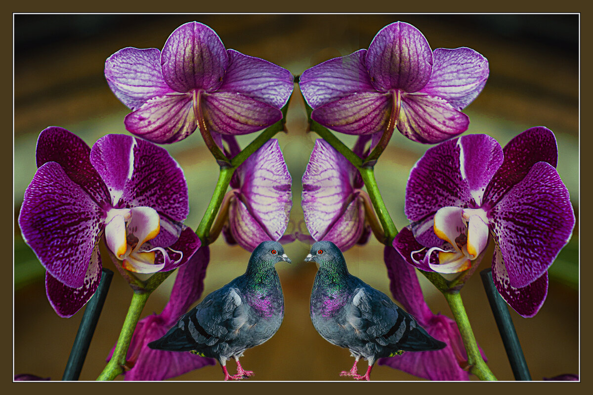 Композиция с голубями - Владимир Кроливец Композиция с голубями - Владимир Кроливец