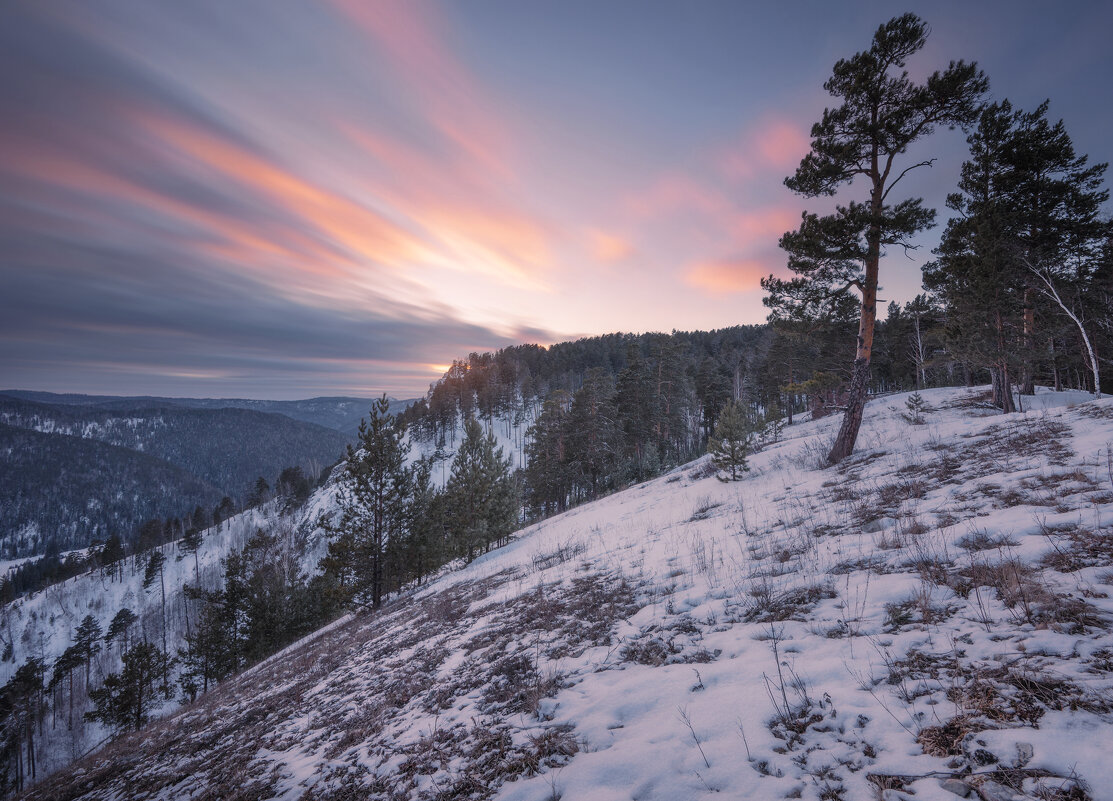 * - Александр Иванов * - Александр Иванов