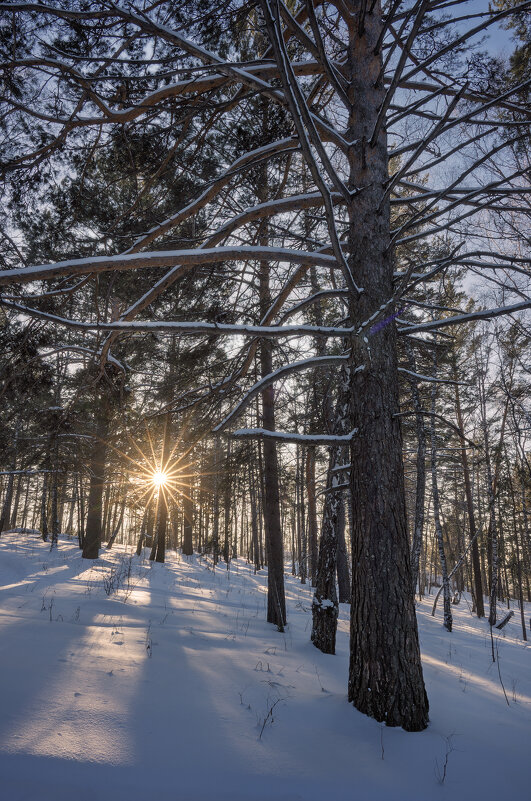 * - Александр Иванов * - Александр Иванов
