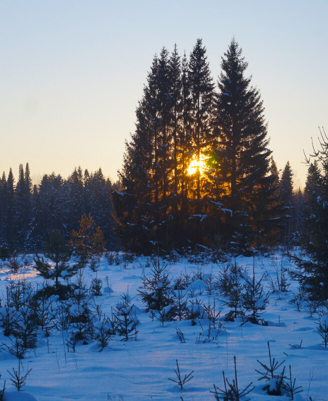 ... - Сергей Ц