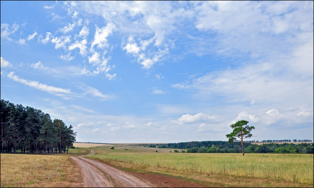 Проселок - **** vedin Проселок - **** vedin