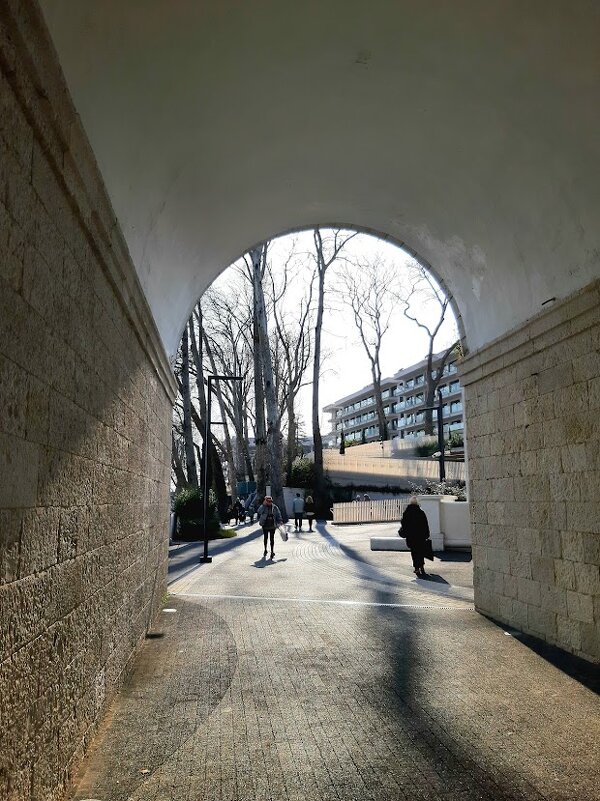 Ривьерский мост - Tata Wolf