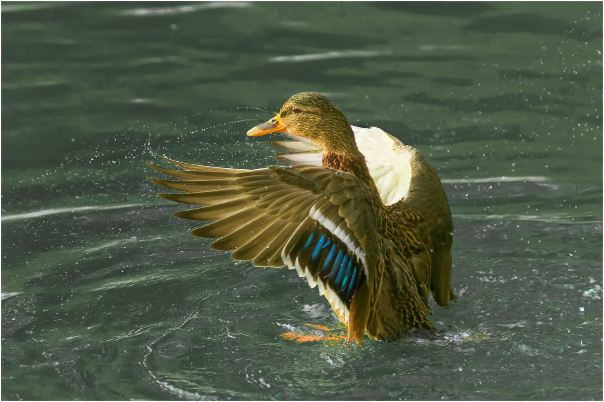 Весна у порога - Валентин Котляров Весна у порога - Валентин Котляров