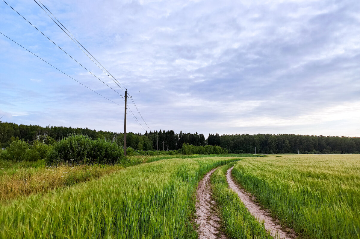 Далеко. - Alexandr Gunin
