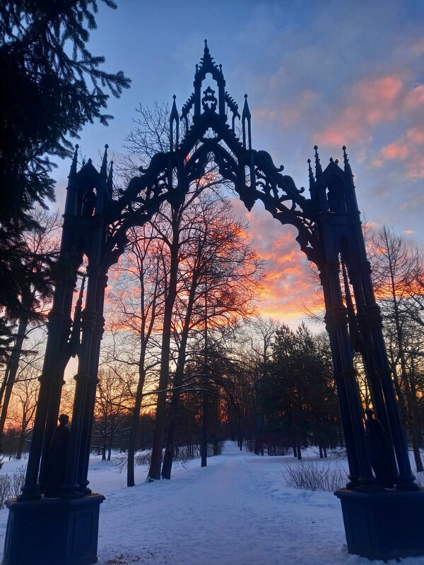 Рассвет - Сапсан 